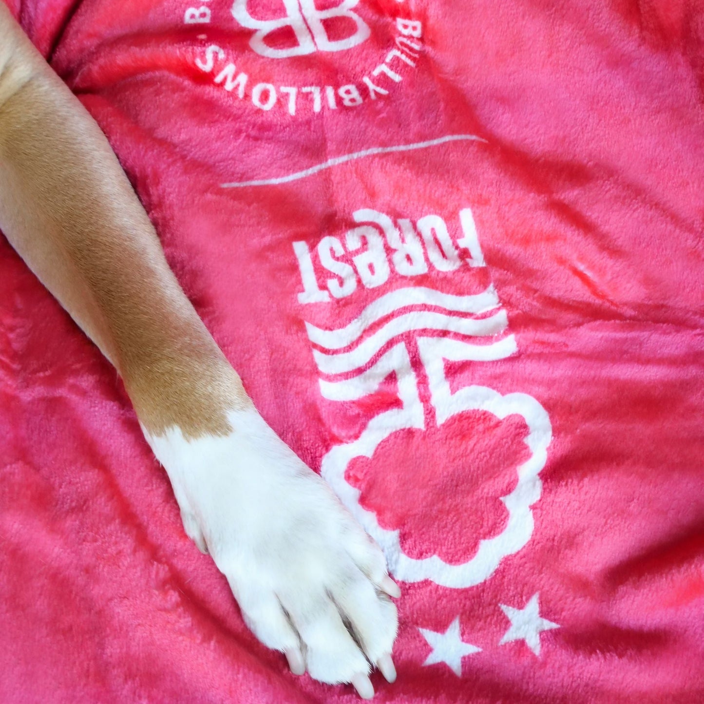 Nottingham Forest Edition | Luxury Dog & Human Blanket
