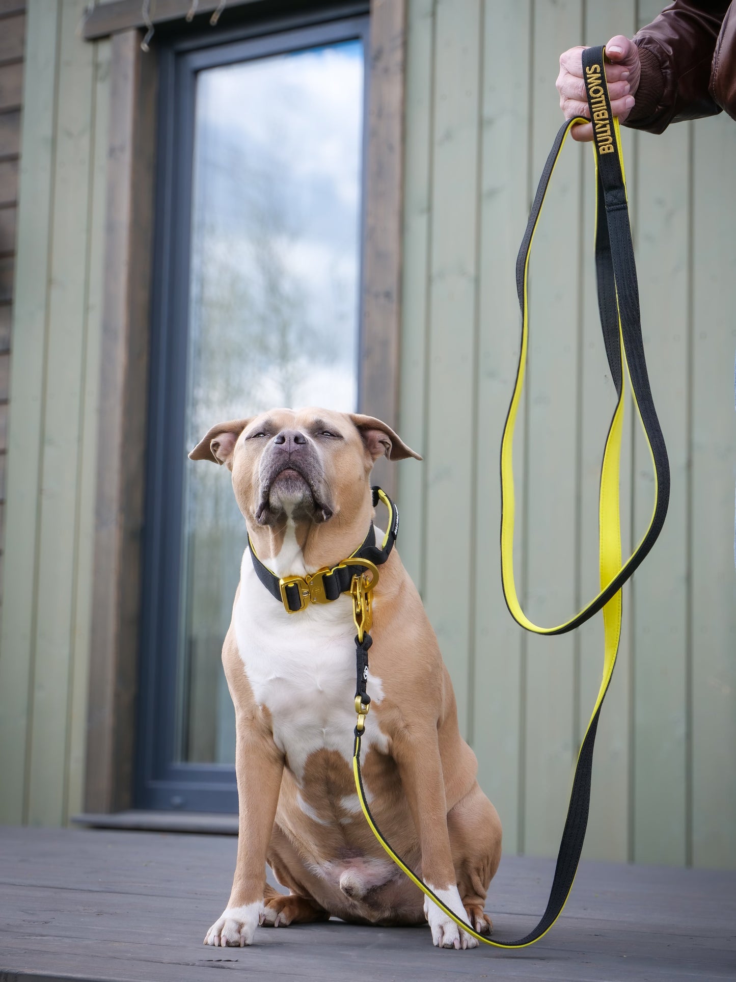 3M Lighter Swivel Combat Lead | Anti-Tangle & Secure Clip - Black X Yellow