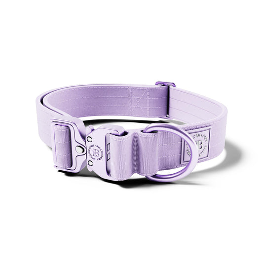4cm Lighter Combat® Collar | No Handle & Secure Clip - Lavender X Ube