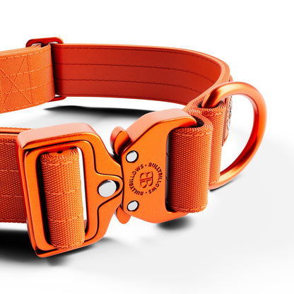 4cm Lighter Combat® Collar | No Handle & Secure Clip - Orange X Orange