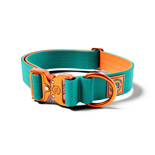 4cm Lighter Combat® Collar | No Handle & Secure Clip - Turquoise X Orange