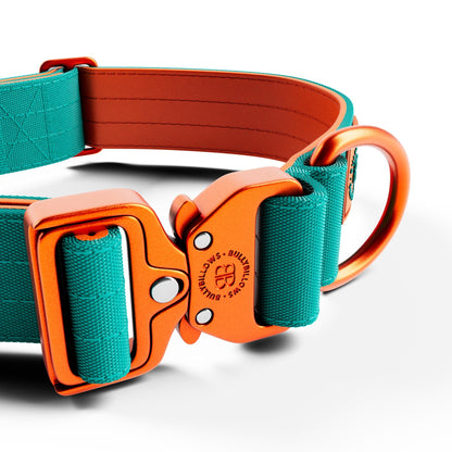 4cm Lighter Combat® Collar | No Handle & Secure Clip - Turquoise X Orange