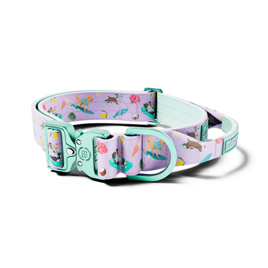4cm Lighter Combat® Collar | With Handle & Secure Clip - BalmyBillows Purple