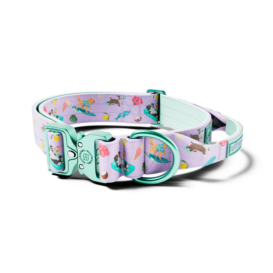 4cm Lighter Combat® Collar | With Handle & Secure Clip - BalmyBillows Purple