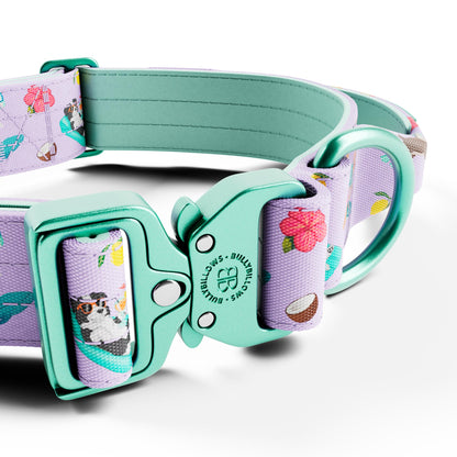4cm Lighter Combat® Collar | With Handle & Secure Clip - BalmyBillows Purple