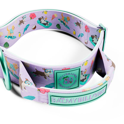4cm Lighter Combat® Collar | With Handle & Secure Clip - BalmyBillows Purple