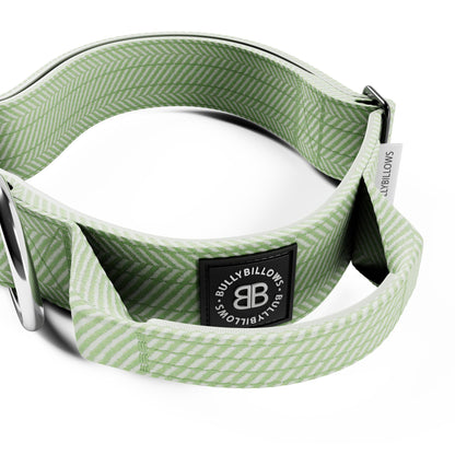 4cm Herringbone Combat® Collar | With Handle & Rated Clip - Mint Green