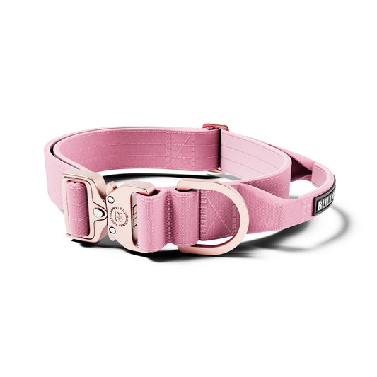 4cm LIGHTER Combat® Collar | With Handle Rated Clip - Pink x Pink