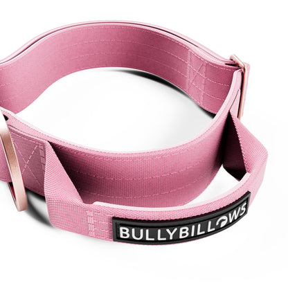 4cm LIGHTER Combat® Collar | With Handle Rated Clip - Pink x Pink