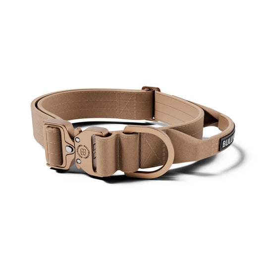 4cm LIGHTER Combat® Collar | With Handle Rated Clip - Tan x Tan