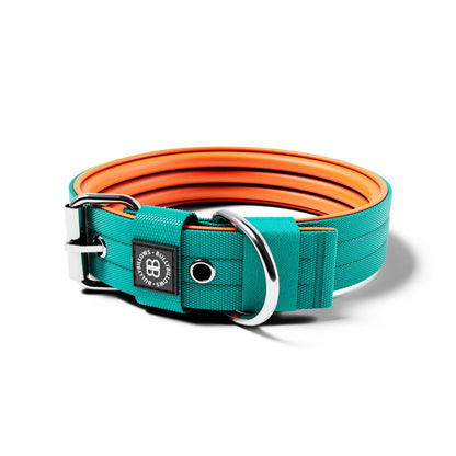 4cm Nylon Dog Collar - Turquoise & Orange (NO HANDLE)