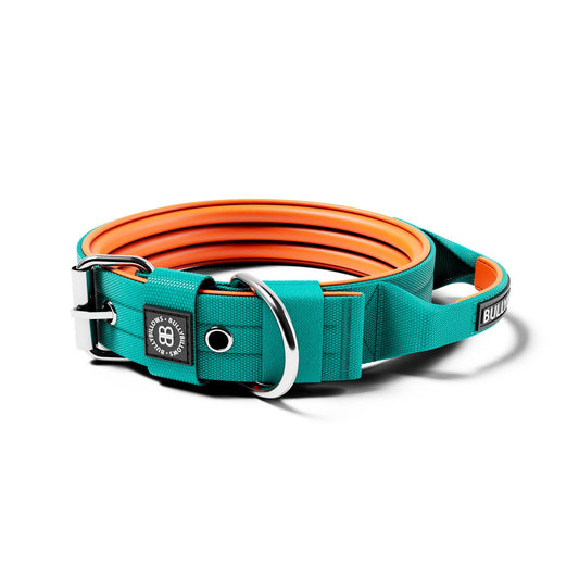 4cm Nylon Dog Collar - Turquoise & Orange (With Handle)