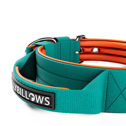 4cm Nylon Dog Collar - Turquoise & Orange (With Handle)
