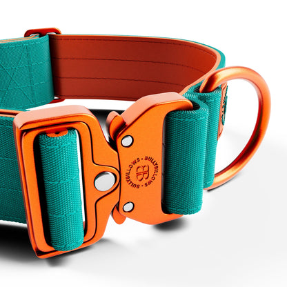 5cm Lighter Combat® Collar | No Handle Secure Clip - Turquoise X Orange