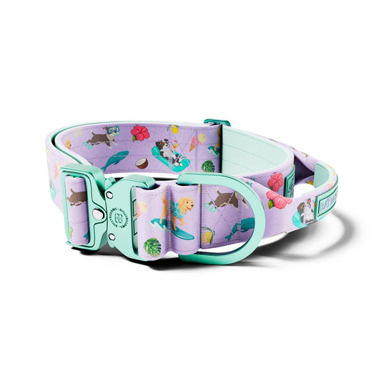 5cm Lighter Combat® Collar | With Handle & Secure Clip - BalmyBillows Purple