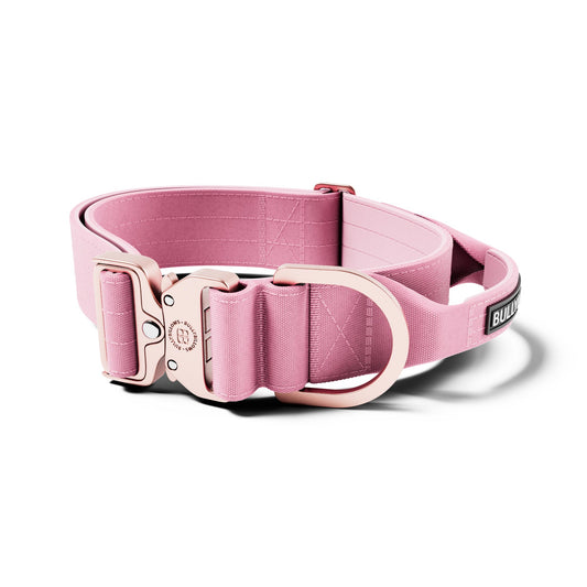 5cm LIGHTER Combat® Collar | With Handle Rated Clip - Pink x Pink