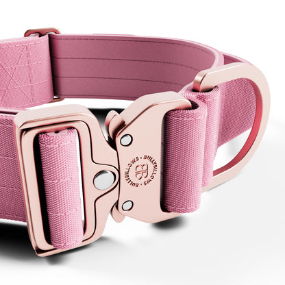 5cm LIGHTER Combat® Collar | With Handle Rated Clip - Pink x Pink