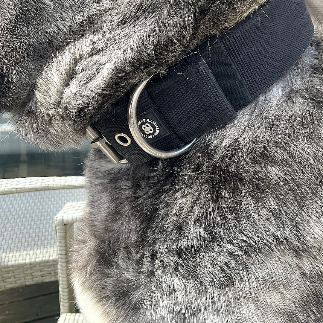 5cm Pin Collar | NO Handle & Robust Hardware - Black