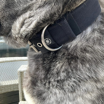 5cm Pin Collar | NO Handle & Robust Hardware - Black