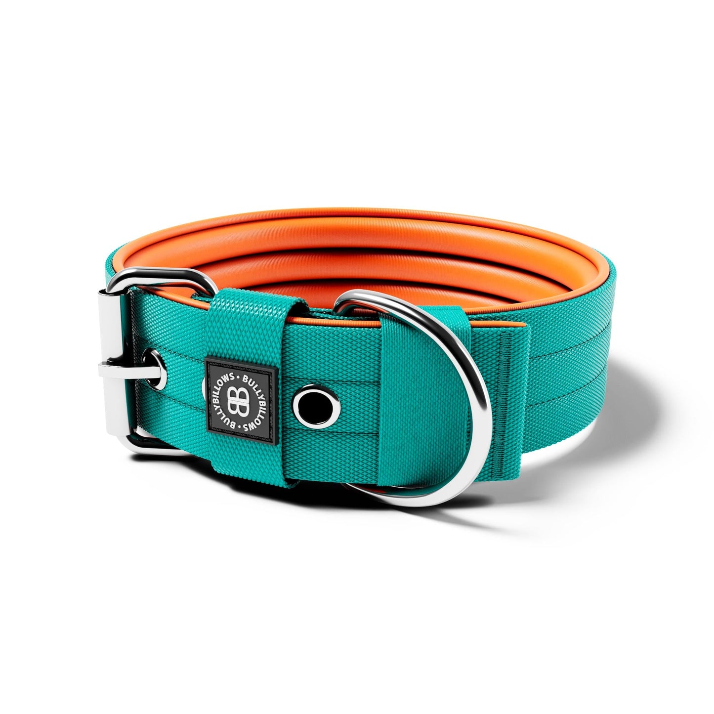 5cm Nylon Dog Collar - Turquoise & Orange (NO HANDLE)