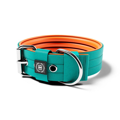 5cm Nylon Dog Collar - Turquoise & Orange (NO HANDLE)
