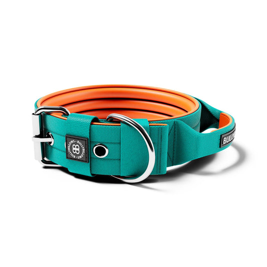 5cm Nylon Dog Collar - Turquoise & Orange (With Handle)