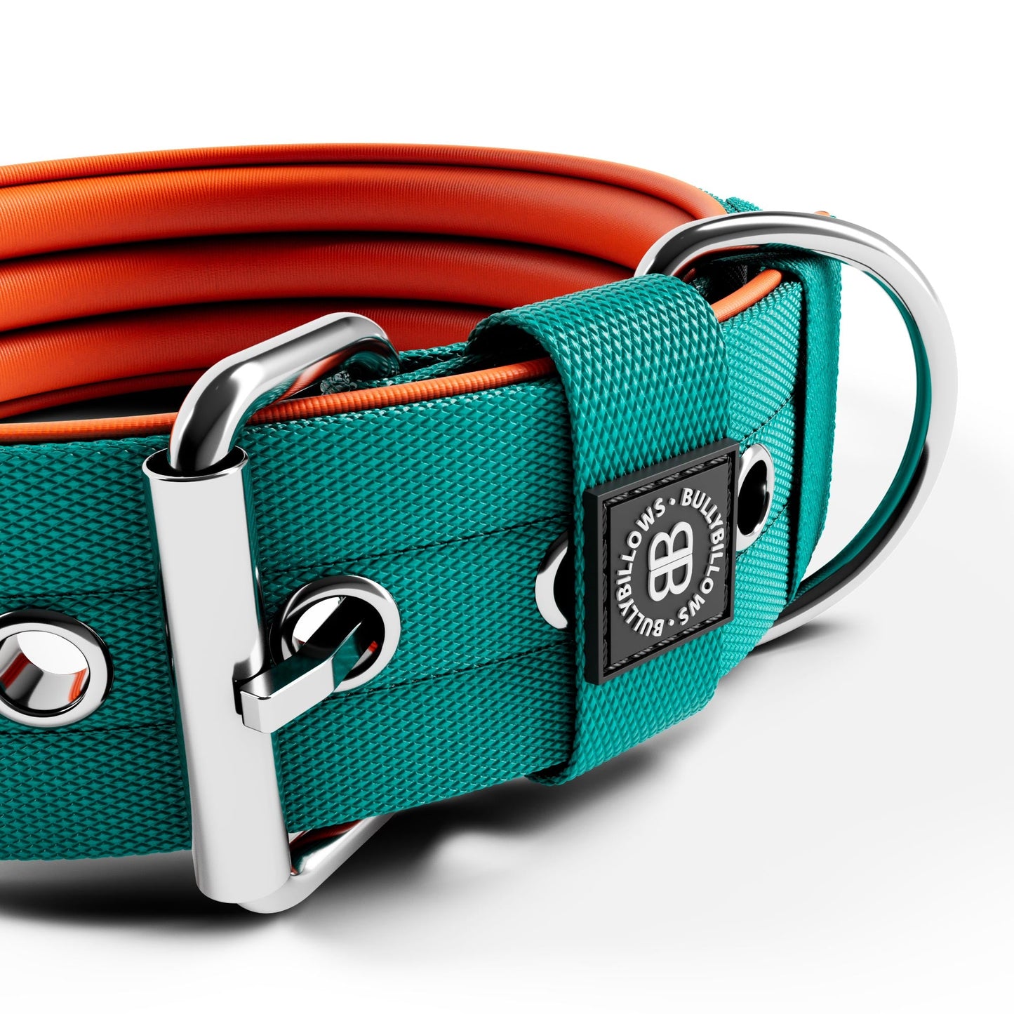 5cm Nylon Dog Collar - Turquoise & Orange (NO HANDLE)
