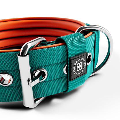 5cm Nylon Dog Collar - Turquoise & Orange (With Handle)