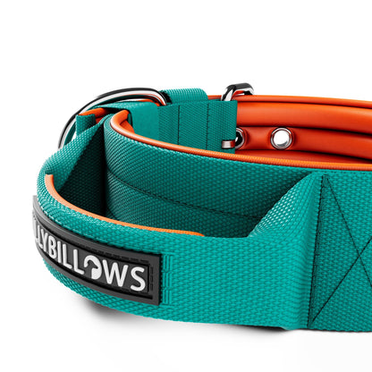 5cm Nylon Dog Collar - Turquoise & Orange (With Handle)