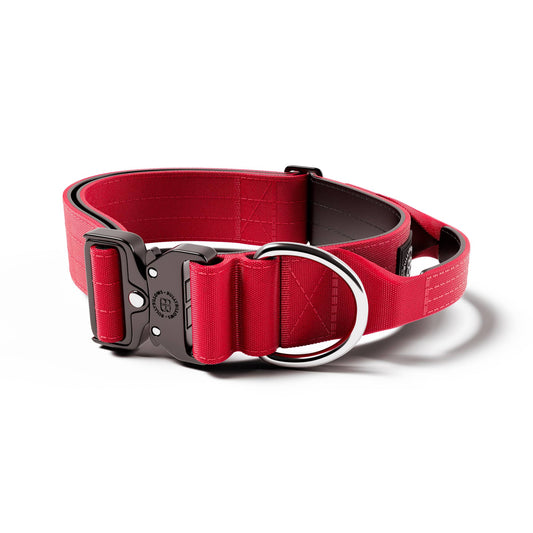 5cm Combat® Collar | With Handle & Rated Clip - Red v2.0