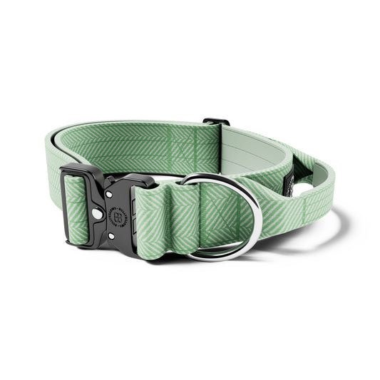5cm Herringbone Combat® Collar | With Handle & Rated Clip - Mint Green