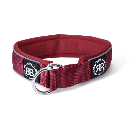 5cm Slip on Collar | Soft Padded & Reflective - Burgundy v2.0
