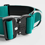 5cm Combat® Collar | With Handle & Rated Clip - Turquoise v2.0