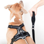 Active Harness | With Handle - Padded Lining & Highly Reflective - Black
