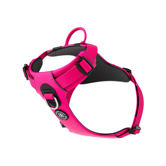 Air Mesh Harness - Anti-Pull, With Handle, Non Restrictive & Adjustable - Carminerose