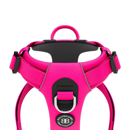 Air Mesh Harness - Anti-Pull, With Handle, Non Restrictive & Adjustable - Carminerose