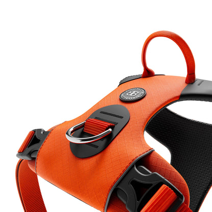 Air Mesh Harness - Anti-Pull, With Handle, Non Restrictive & Adjustable - Orange