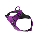 Air Mesh Harness - Anti-Pull, With Handle, Non Restrictive & Adjustable - Purple