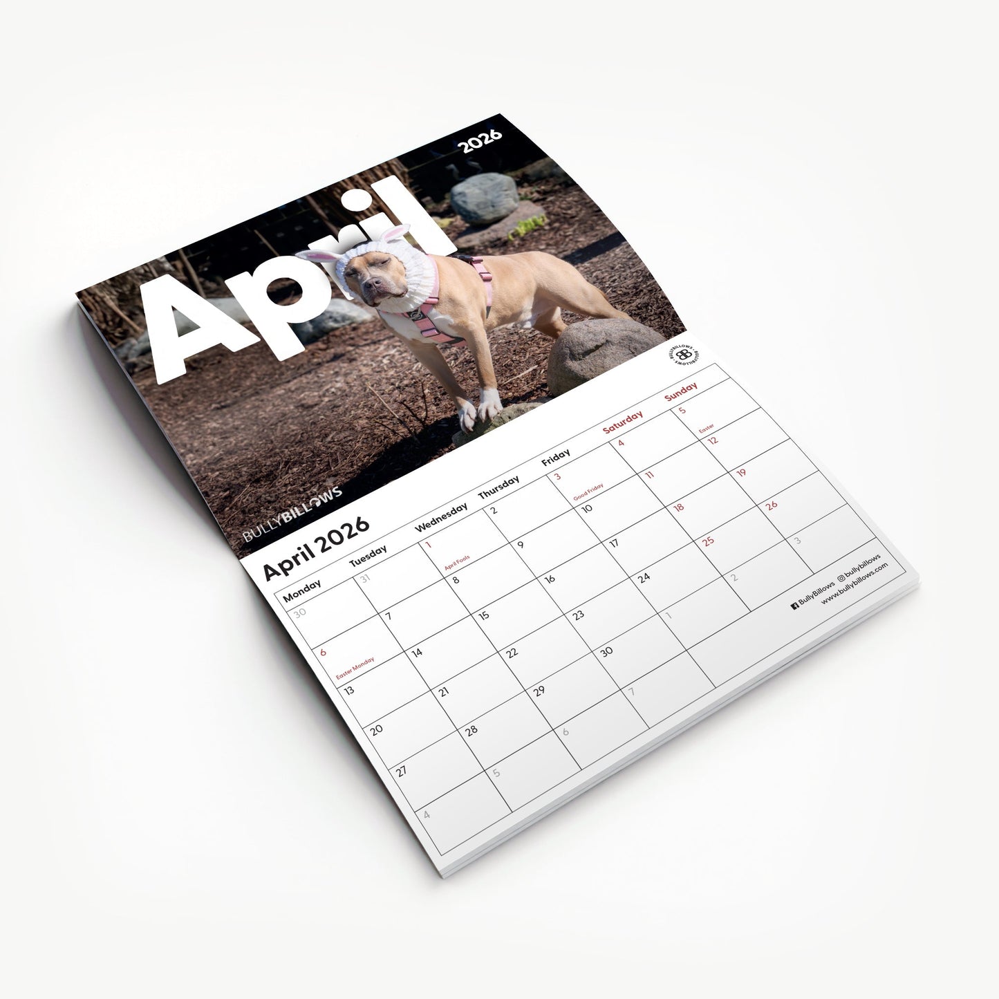 Charity Calendar 2026