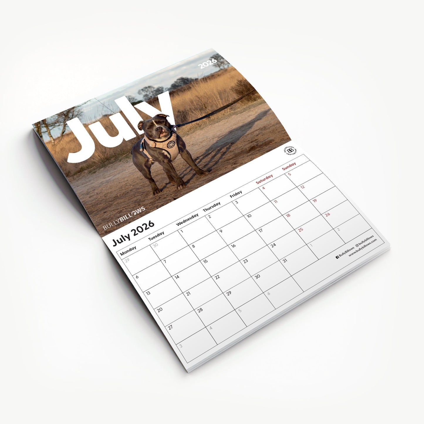 Charity Calendar 2026