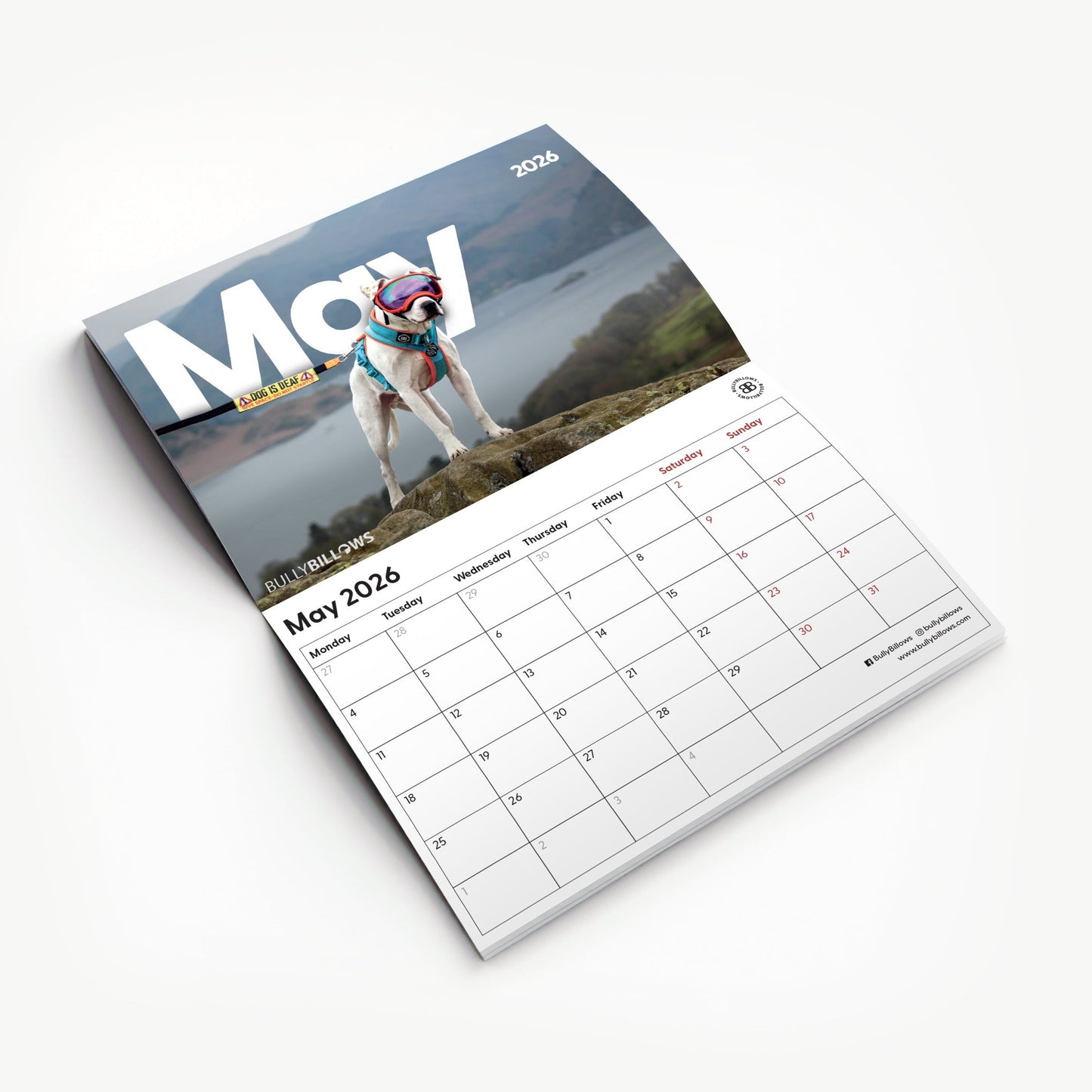 Charity Calendar 2026