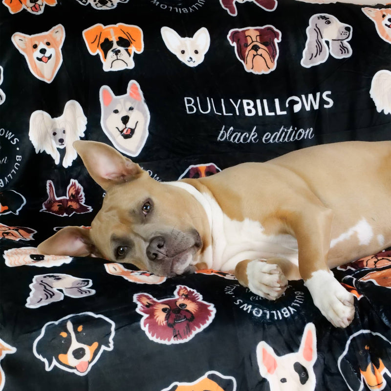 Black Edition Luxury Dog & Human Blanket BullyBillows Wholesale