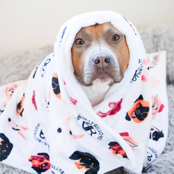 Luxury BullyBillows Dog & Human Blanket