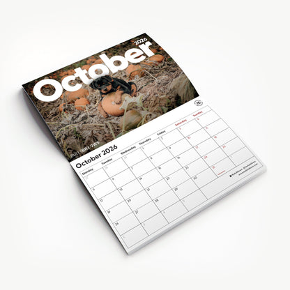 Charity Calendar 2026