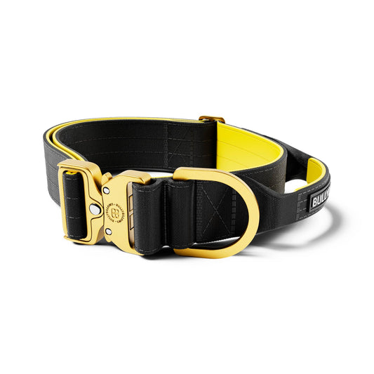 5cm LIGHTER Combat® Collar | With Handle Rated Clip - Black, Yellow & Gold