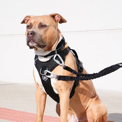 Hurricane Harness - Non Restrictive, With Handle, Adjustable & Reflective - All Breeds - Purple