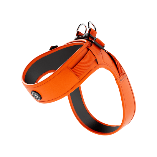 Boomerang Harness - Non Restrictive, Lightweight, Small - Medium Breeds - Orange