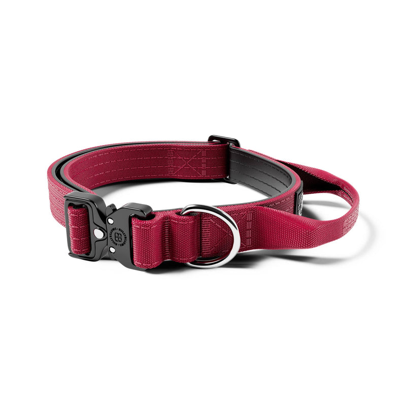 2.5cm Combat® Collar | With Handle & Rated Clip - Burgundy v2.0