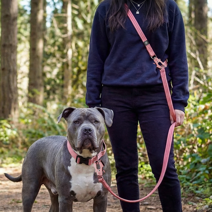 Lightweight Training Double Ended Dog Lead | 2m Length - Black