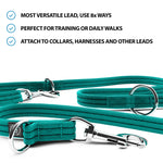 Double Ended Training Lead | All Breeds - Durable & Soft 2m Lead - Turquoise